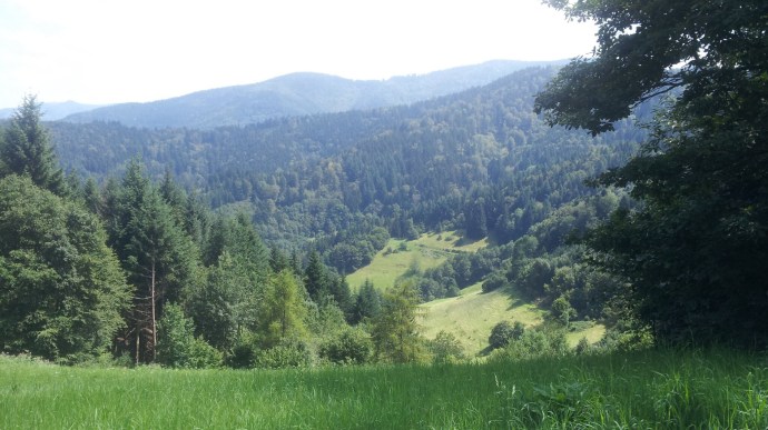 C360_2014-08-01-14-33-18-127