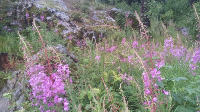 C360_2014-08-02-20-46-47-582