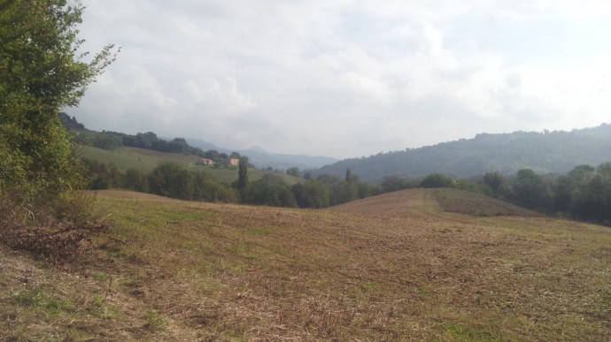 C360_2014-10-06-10-59-05-721