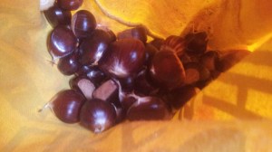 C360_2014-10-15-11-06-22-233