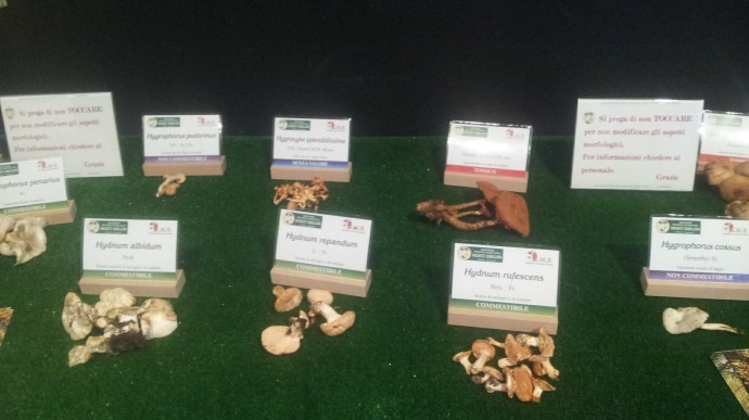 C360_2014-10-19-12-52-36-863