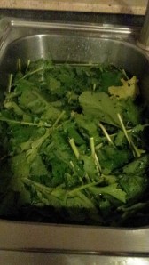 C360_2014-10-23-06-53-13-420