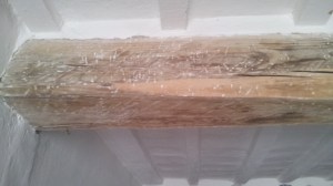 C360_2014-10-29-12-31-14-693