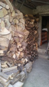 It's now filling up a good chunk of our cantina! And I only came across 2 scorpions :-s