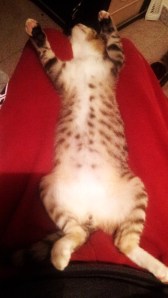 C360_2014-11-04-20-06-34-093