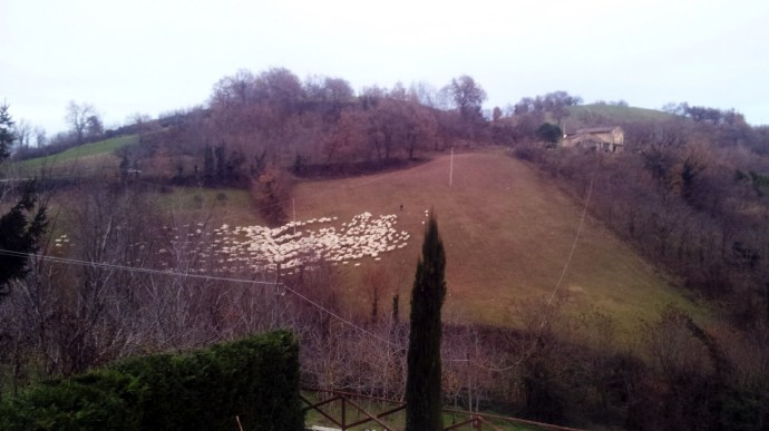 C360_2014-12-15-16-19-39-645