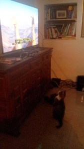 C360_2015-01-24-21-14-20-429