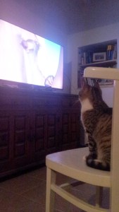 C360_2015-01-24-21-44-00-724