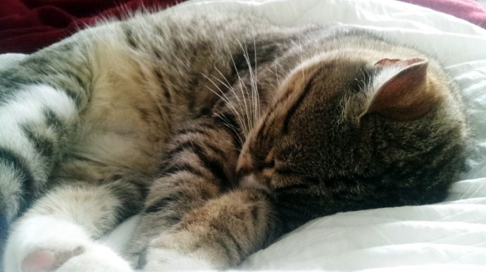 C360_2015-02-24-09-22-53-025