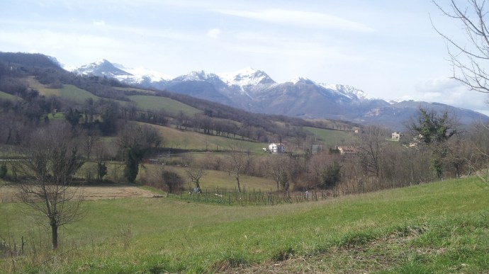 C360_2015-03-01-12-32-30-872