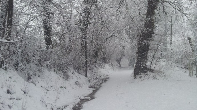 C360_2015-03-05-10-44-38-723