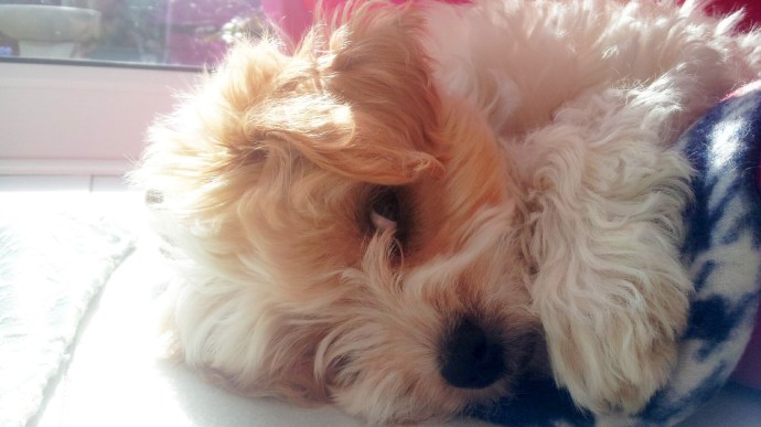 C360_2015-03-10-13-30-00-992