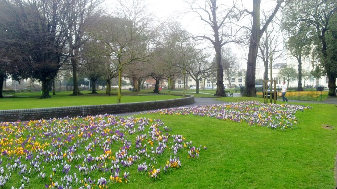 C360_2015-03-13-11-23-43-786