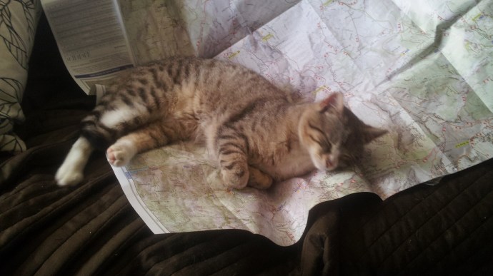 C360_2015-04-18-13-08-18-432