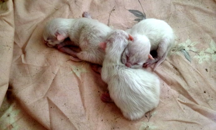 C360_2015-04-27-12-06-09-500