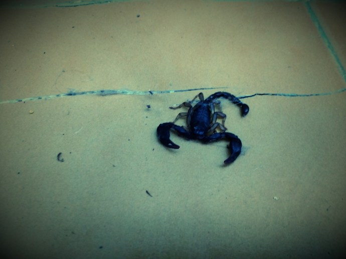 C360_2015-09-14-13-21-03-428