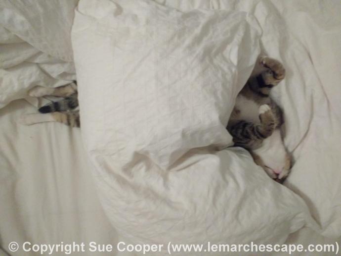 C360_2015-09-23-22-58-15-287