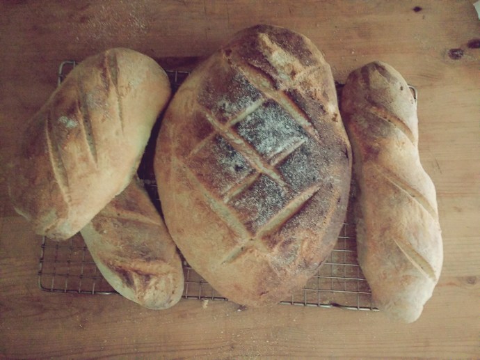 C360_2015-09-26-09-03-15-972