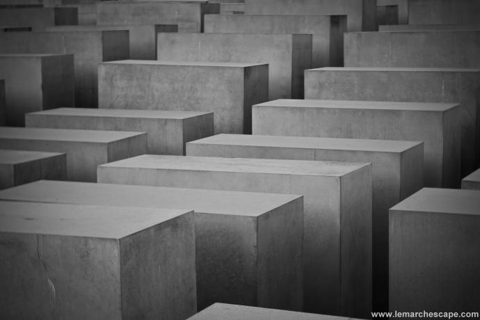 Lightroom Edit (20 of 32)