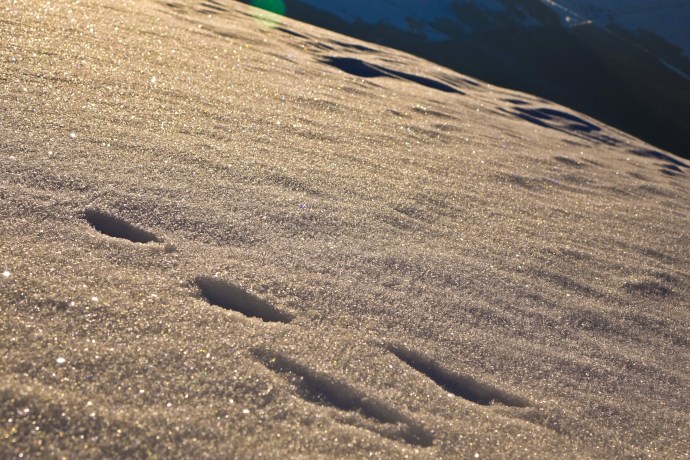 1512 Ciaspolata a Pintura (4 of 7)