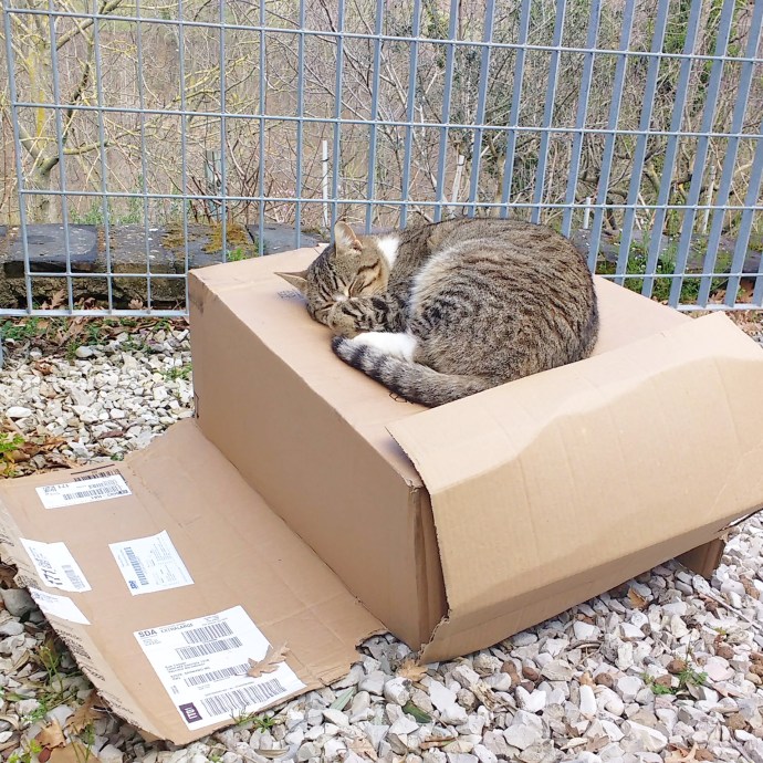 C360_2016-03-18-14-02-32-125