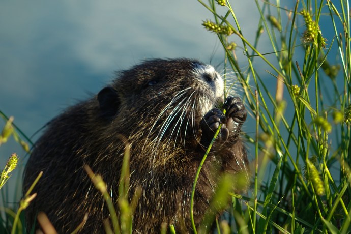 LagodiFiastra (10 of 10)