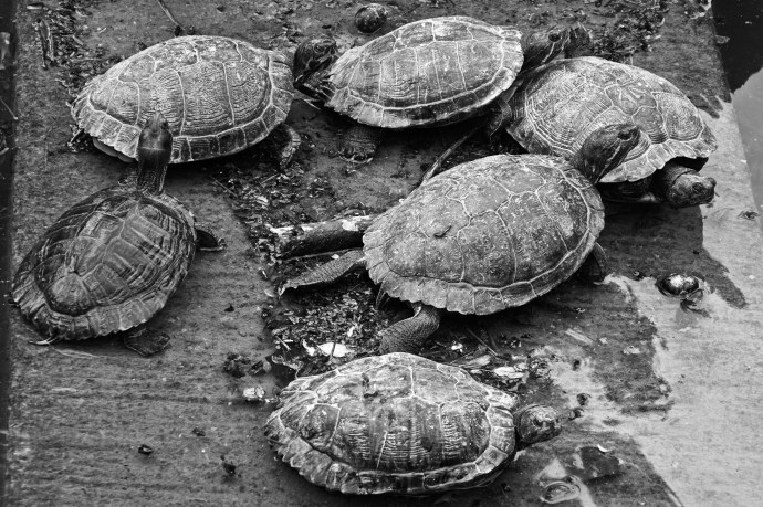 LagodiFiastra (5 of 10)