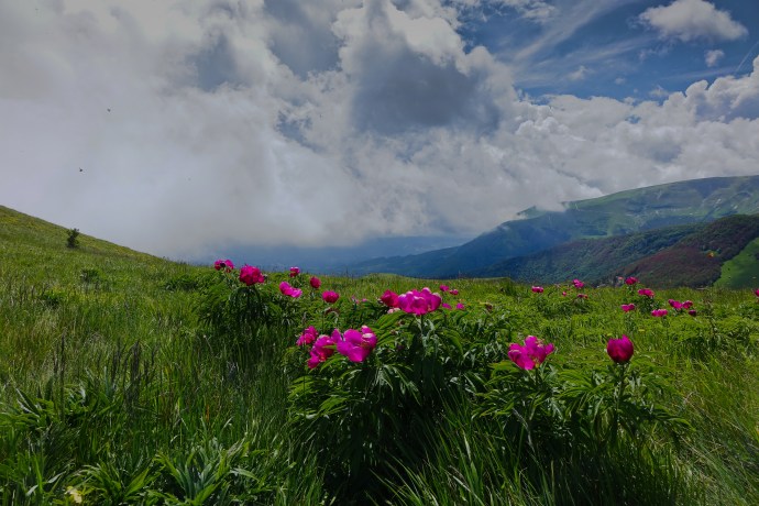 Pennabilli and Sassotetto (35 of 35)