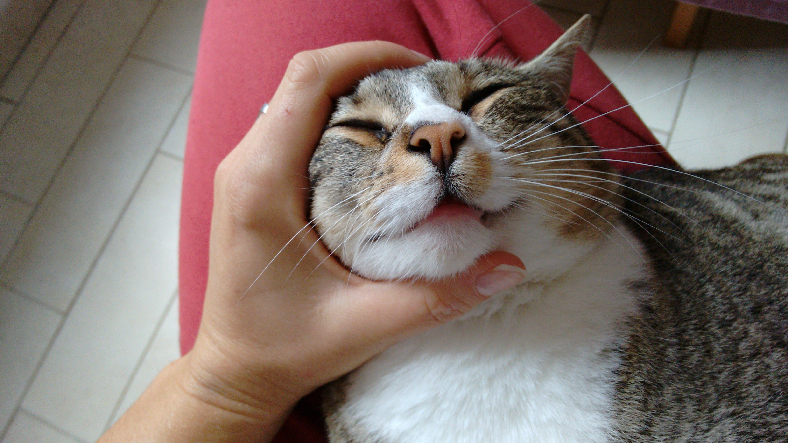 img_20161108_085819141