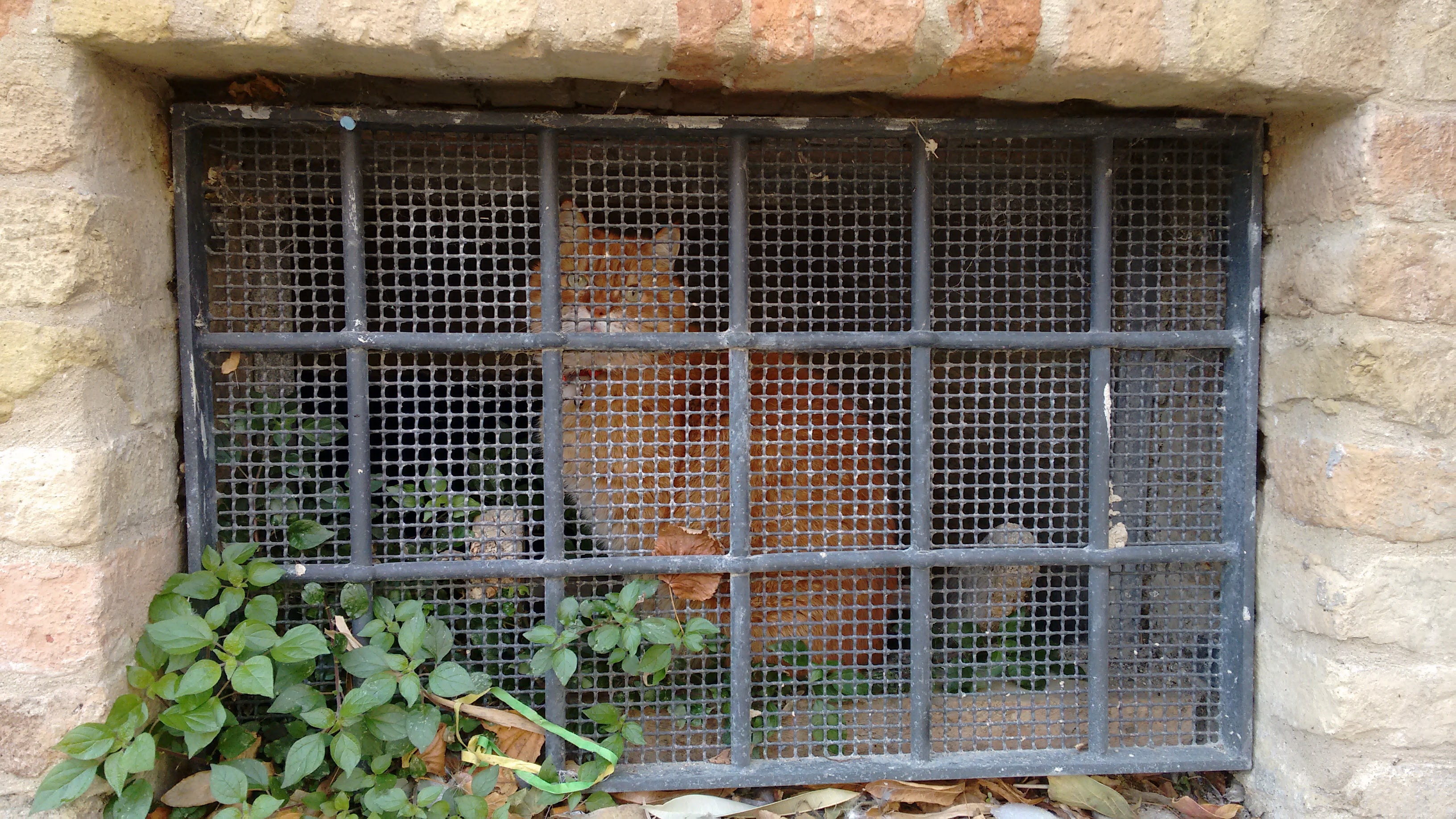 img_20161113_110547354