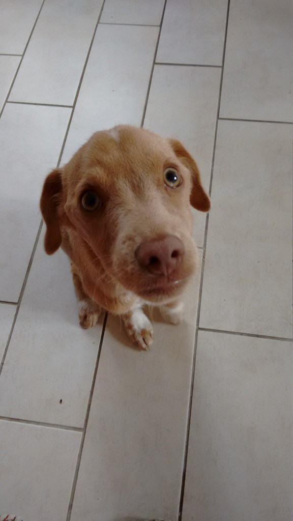 img_20161114_122709984