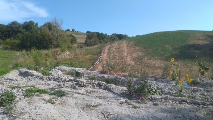 IMG_20170723_170907054